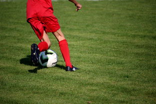 米兰体育官方网址入口-中超球队球员年龄结构，中超球队平均年龄