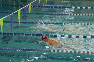 米兰体育官网-全国游泳冠军赛浙江队成绩斐然，浙江游泳队比赛