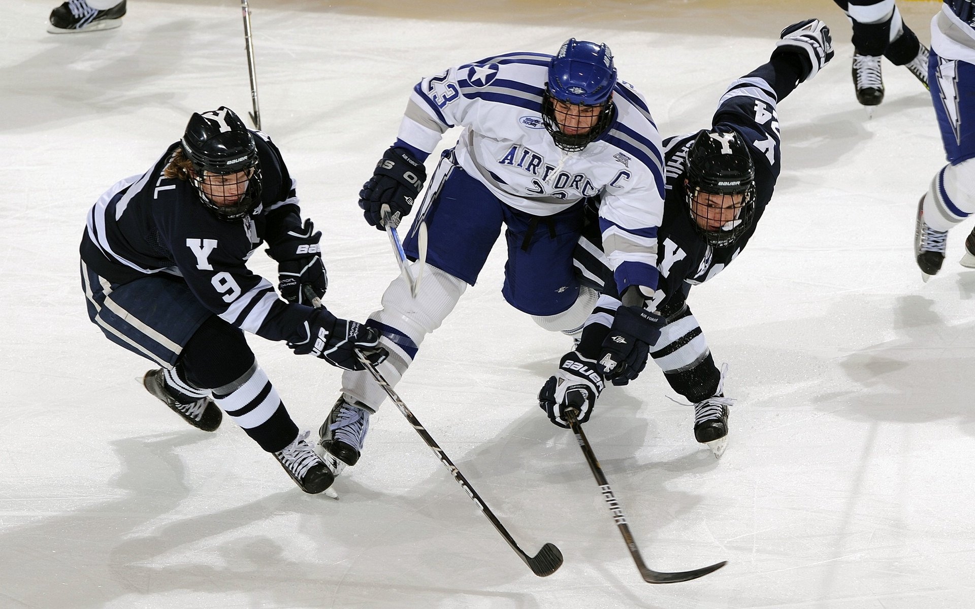 球迷文化节：全球足球狂欢的盛会，球迷聚集