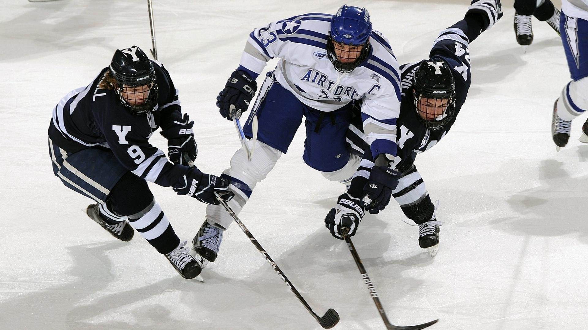 篮球球队胜率排行榜